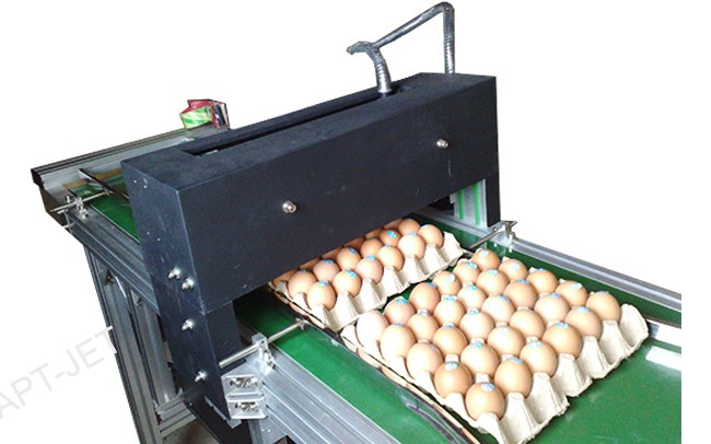 蛋品梭式机(图1)